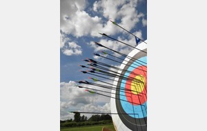 Tir à l’arc : Loisir ou compétition ?