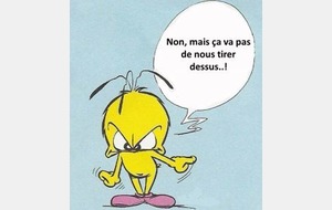 Samedi, Abat l'oiseau!