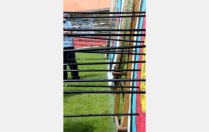 2012 n'est plus...Vive 2013!