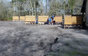 Nettoyage du terrain à Marchegay: ils sont venus nombreux, trés nombreux!