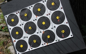 Championnat Ligue d'Aquitaine Campagne: des médailles pour le SAM !