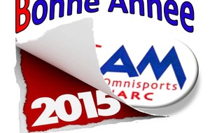 Bonne année 2015!