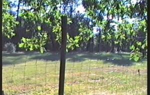 Souvenir ou découverte?