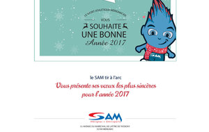 Bonne année 2017!