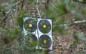 La bonne forme de nos archers se confirme!