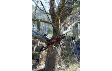 Le Sam en campagne...