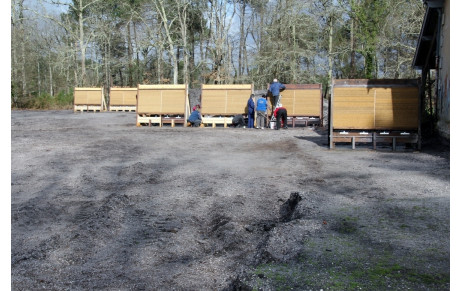 Nettoyage du terrain à Marchegay: ils sont venus nombreux, trés nombreux!