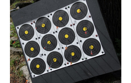 Championnat Ligue d'Aquitaine Campagne: des médailles pour le SAM !