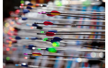 Des concours et des performances pour nos archers SAMistes