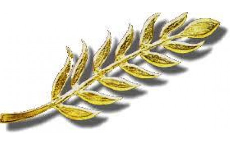 AG et Lauriers Médaillés du SAM