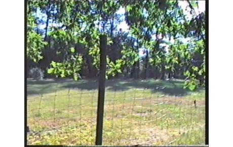 Souvenir ou découverte?