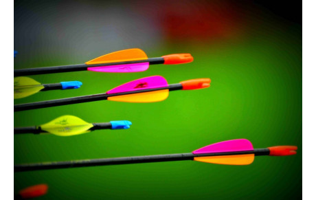 Quoi de neuf depuis deux semaines ?