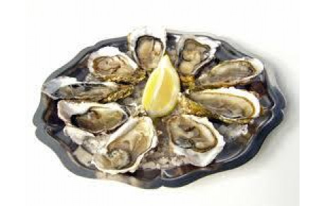 ARCACHON 7/8 Janvier