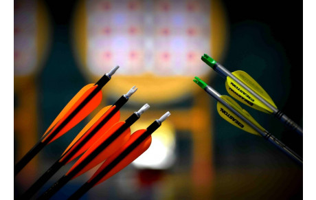 Concours du Club à Mérignac et un archer à SENLIS.