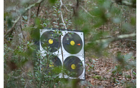 La bonne forme de nos archers se confirme!